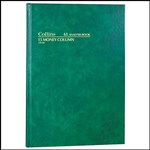 COLLINS 61 SERIES ANALYSIS BOOK 15 MONEY COLUMN 84 LEAF A4 GREEN