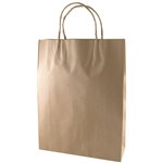 CAPRI KRAFT PAPER CARRY BAG B1 TWIST HANDLE MEDIUM BROWN 250 X 220 X 150MM BOX 250