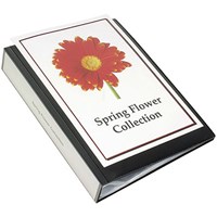 Presentation Files  Display Books